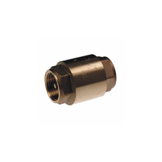 Brass Spring Check Valve