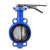 Butterfly-Valve-2.jpg